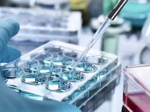 一篇文章告訴你 干細(xì)胞儲(chǔ)存的意義