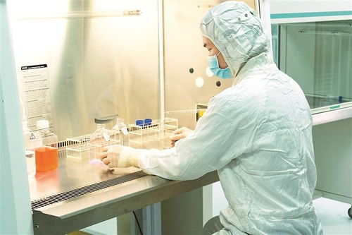 茵冠生物一款干細胞制品獲評省名優高新技術產品