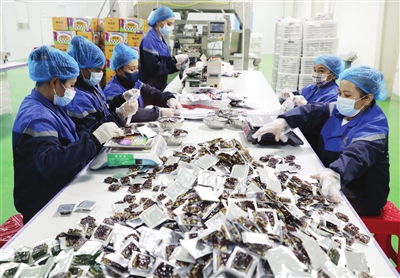 產(chǎn)業(yè)援疆變 輸血 為 造血